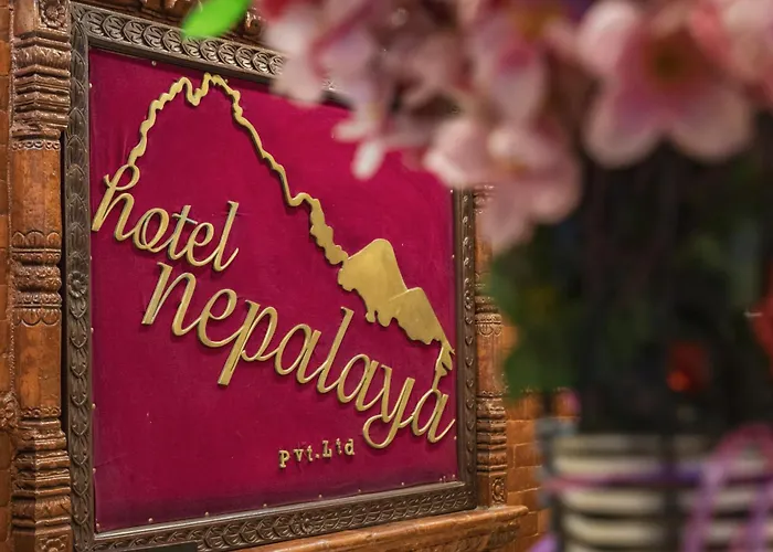 Hotel Nepalaya Thamel 17 Kwabhal 3*